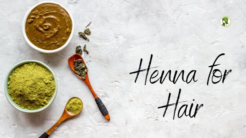 How to Choose the Right Henna Manufacturer for Your Business?