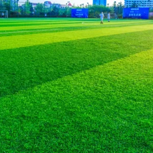 Synthetic Turf for Year-Round Beauty