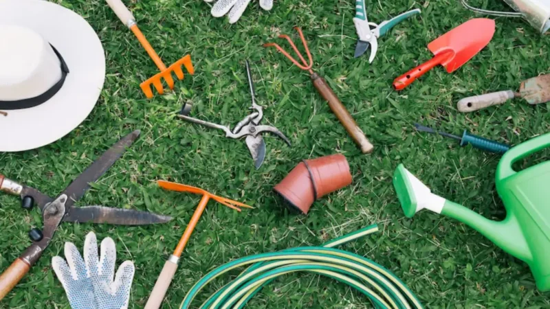 Extending the Life of Your Lawn Care Tools
