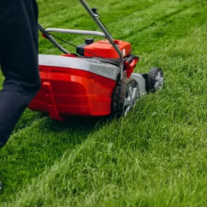 Crafting the Ideal Lawn Care Routine with Fertilizers