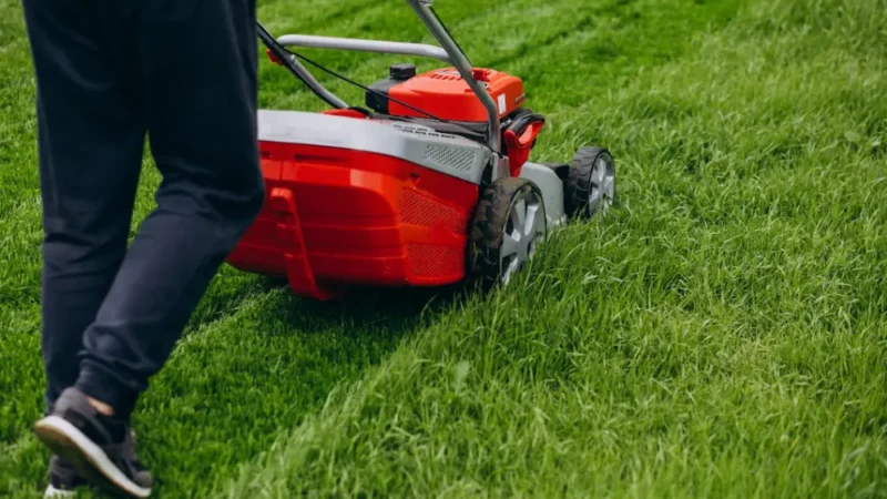 Crafting the Ideal Lawn Care Routine with Fertilizers