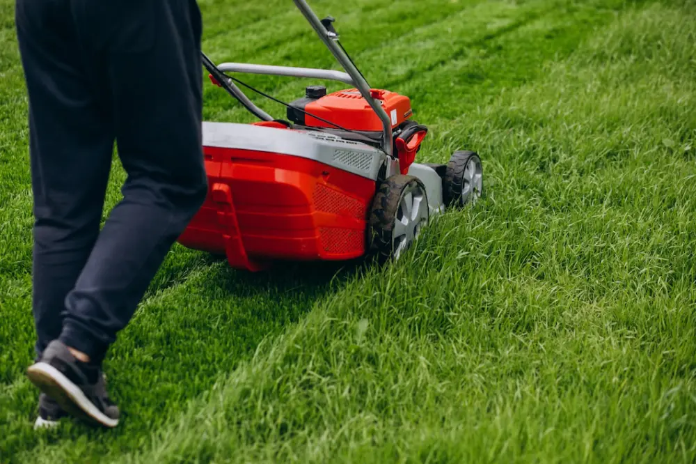 Crafting the Ideal Lawn Care Routine with Fertilizers