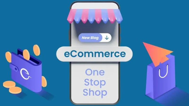 E-Commerce Success with Shopnaclo: Business Insights Guide