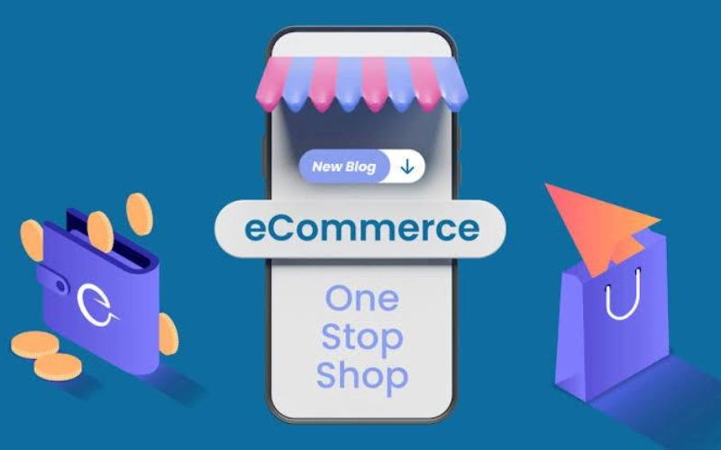 E-Commerce Success with Shopnaclo: Business Insights Guide