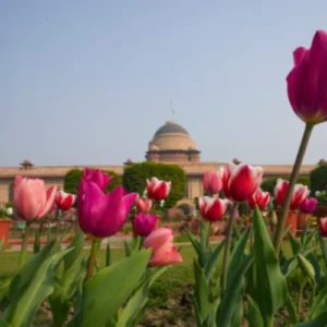 Mughal Garden 2026 (New Delhi): When It Opens, Entry Times & Ticket Cost