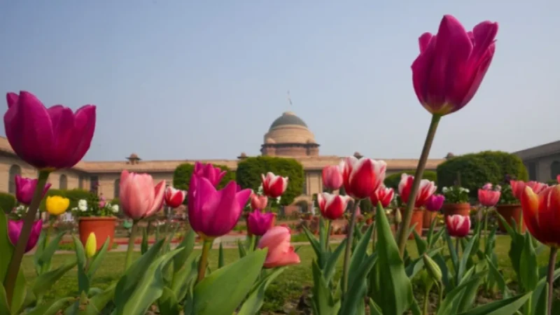 Mughal Garden 2026 (New Delhi): When It Opens, Entry Times & Ticket Cost