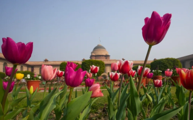 Mughal Garden 2026 (New Delhi): When It Opens, Entry Times & Ticket Cost
