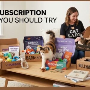 5 Pet Subscription Boxes You Should Try in 2026