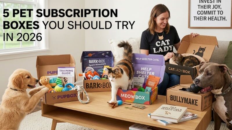 5 Pet Subscription Boxes You Should Try in 2026